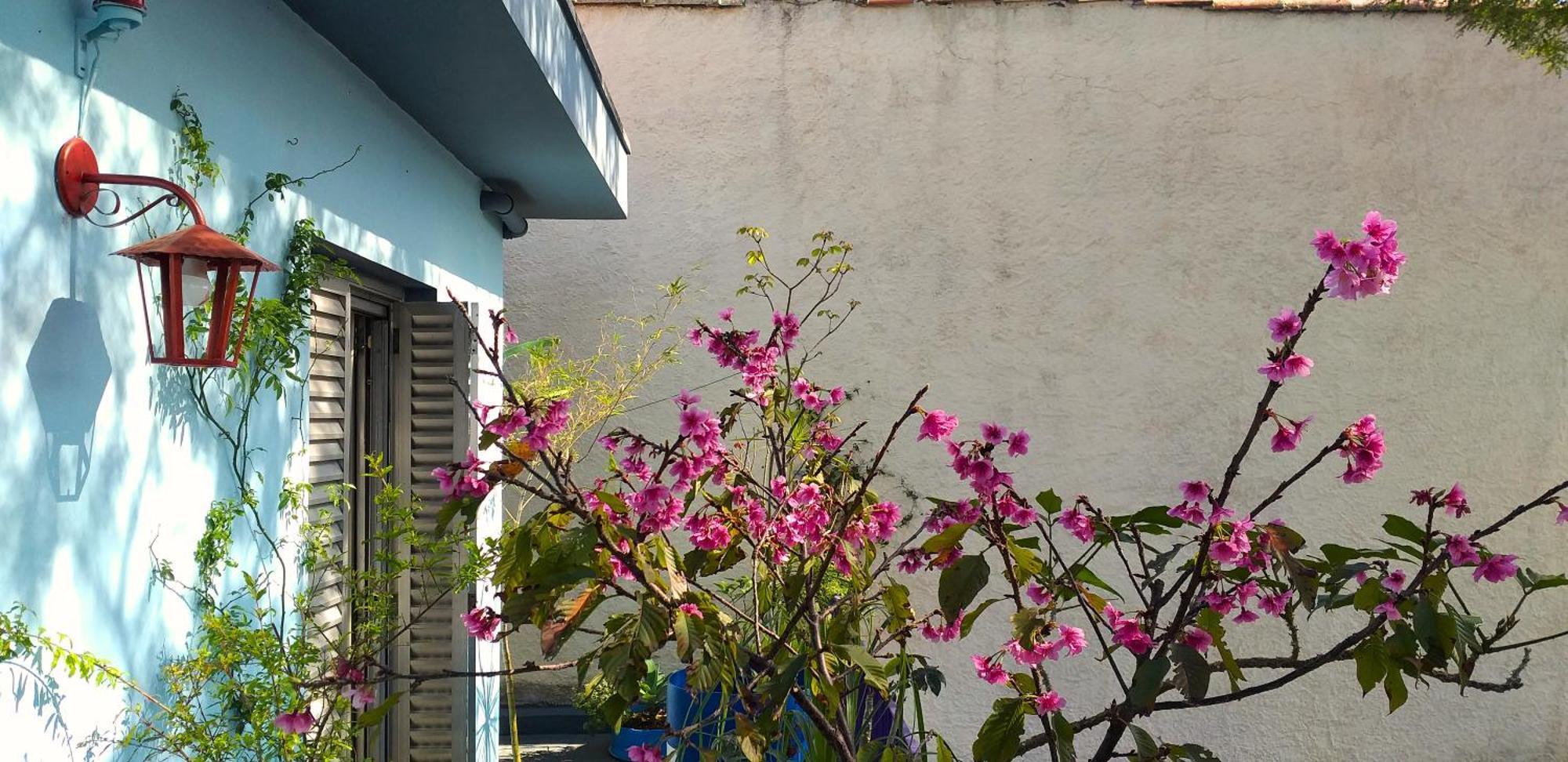 Micasa Hostel - Congonhas São Paulo Exterior photo